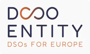 client DSO 300